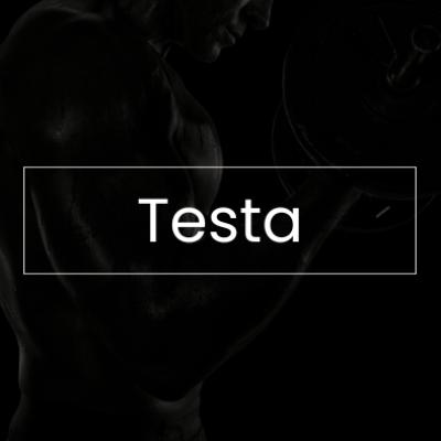 Testa